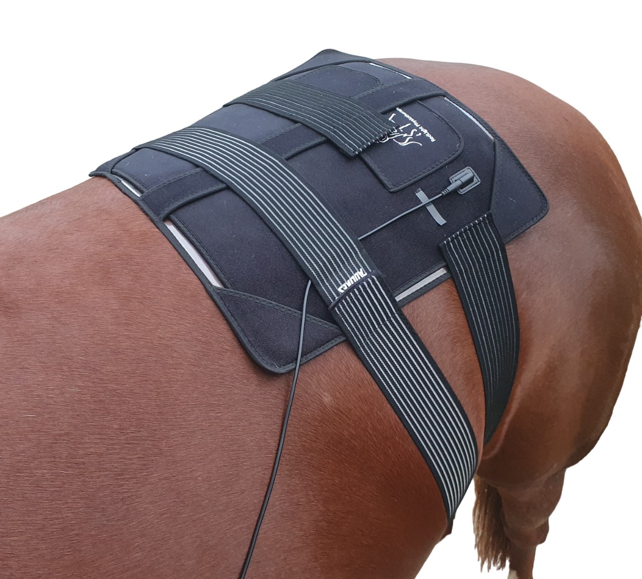 Equine XL Photobiomodulation Pad